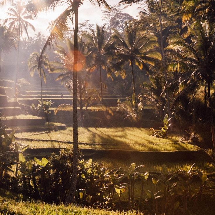 Kids playground area in Canada